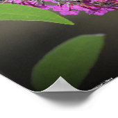 Poster Papillon, (Coin)