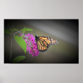 Poster Papillon, (Devant)