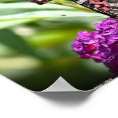 Poster Papillon, (Coin)
