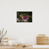 Poster Papillon, (Cuisine)