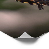 Poster Papillon, (Coin)