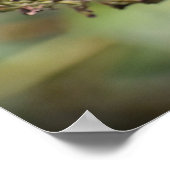 Poster Papillon, (Coin)