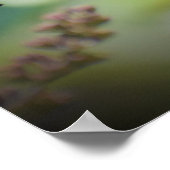 Poster Papillon, (Coin)
