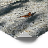 Poster papillon (Coin)