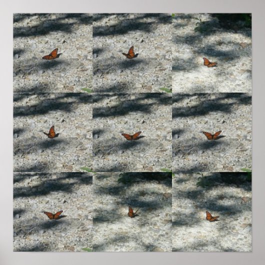 Poster papillon (Devant)