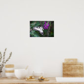 Poster Papillon, (Cuisine)