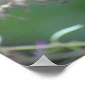 Poster Papillon, (Coin)