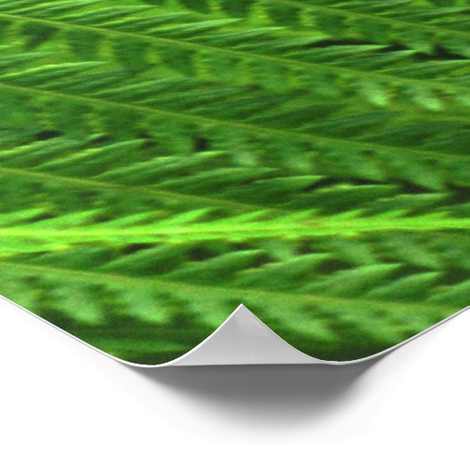 Poster Papillon (Coin)