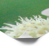 Poster Papillon (Coin)