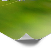 Poster Papillon (Coin)