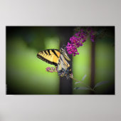 Poster Papillon, (Devant)