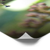 Poster Papillon, (Coin)