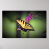 Poster Papillon, (Devant)