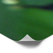 Poster Papillon (Coin)