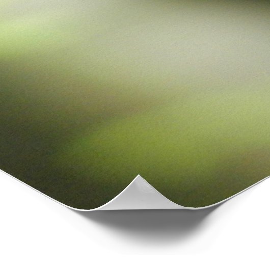 Poster Papillon (Coin)