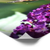 Poster Papillon, (Coin)