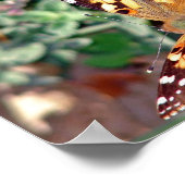 Poster Papillon (Coin)