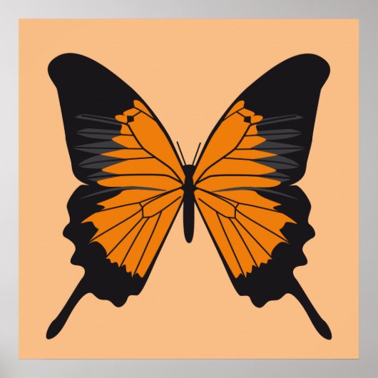 Poster papillon1 (Devant)