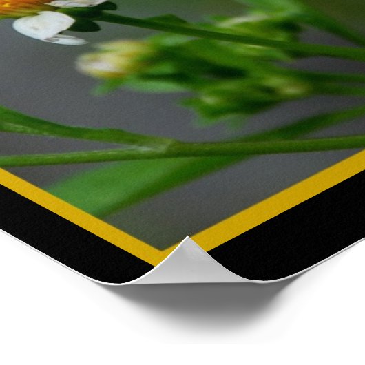 Poster Papillon302 (Coin)