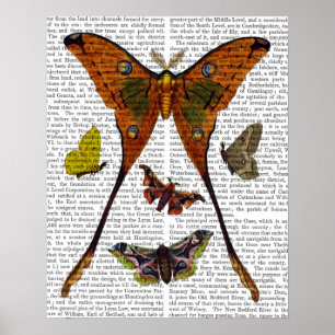 Poster Papillon 2