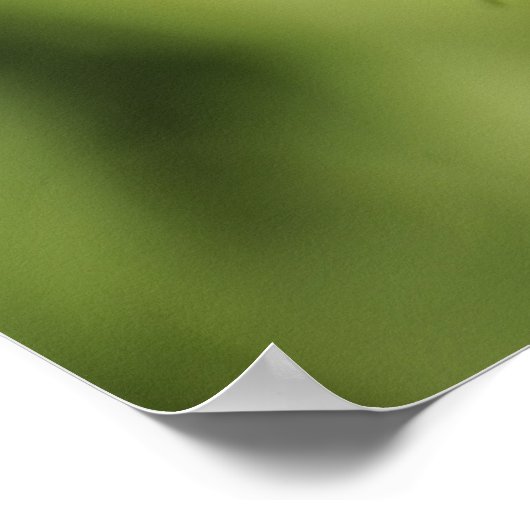 Poster Papillon à ailes longues Zebra, Heliconius (Coin)