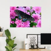 Poster Papillon à carreaux de Baltimore (Bureau à domicile)