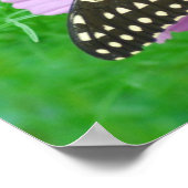 Poster Papillon à fleurs (Coin)