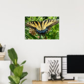 Poster Papillon à queue d'aronde II à Shenandoah (Bureau à domicile)