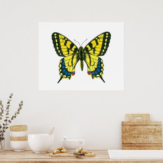 Poster Papillon à queue épaisse de tigre (Cuisine)