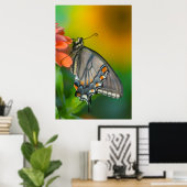 Poster Papillon à queue épaisse de tigre orientale (Bureau à domicile)