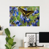 Poster Papillon à taches quadrillées | Euphydryas Phaeton (Bureau à domicile)