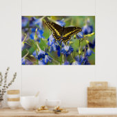 Poster Papillon à taches quadrillées | Euphydryas Phaeton (Cuisine)