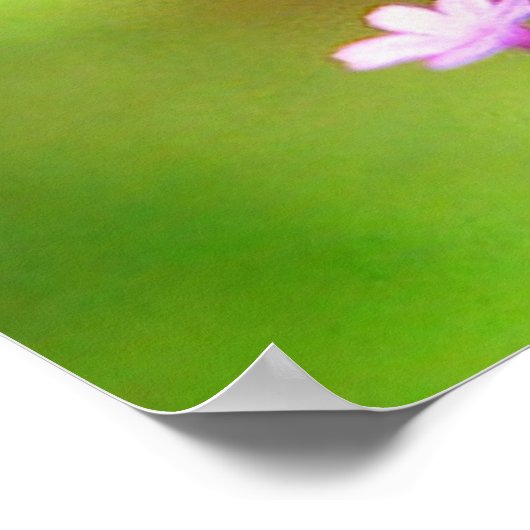 Poster Papillon américain (Coin)