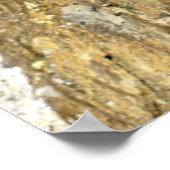 Poster Papillon - Amiral rouge (Coin)