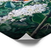 Poster Papillon Amiral Rouge (Coin)
