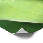 Poster Papillon Amiral Rouge sur Feuilles Vertes (Coin)