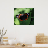 Poster Papillon Amiral Rouge sur Feuilles Vertes (Cuisine)