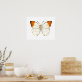 Poster Papillon aquarelle, grand tip orange (Cuisine)