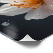 Poster *~* Papillon Aquarelle magique AP52 Fleurs (Coin)