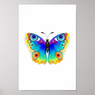 Poster Papillon Arc-en-ciel Paon Yeux