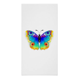 Poster Papillon Arc-en-ciel Paon Yeux
