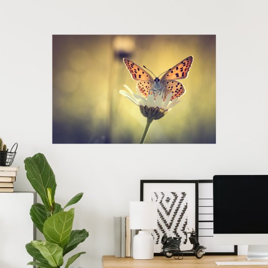 Poster papillon Argus (Bureau à domicile)