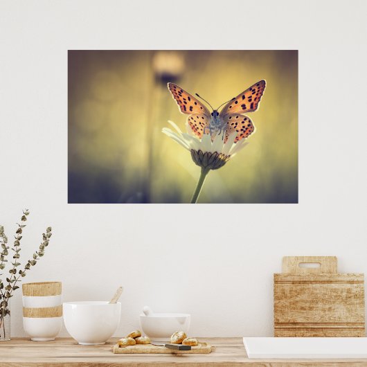 Poster papillon Argus (Cuisine)