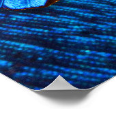 Poster Papillon Art 44 (Coin)