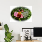 Poster Papillon au chou sur Zinnia (Bureau à domicile)