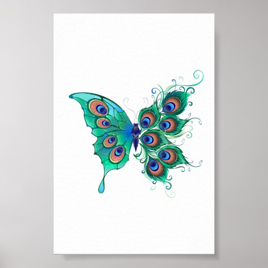 Poster Papillon aux plumes de paon vert (Devant)