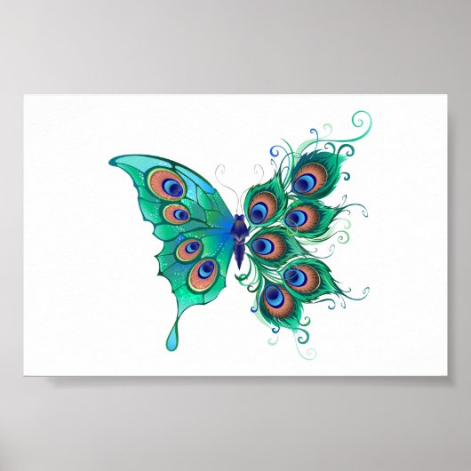 Poster Papillon aux plumes de paon vert (Devant)