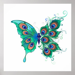 Poster Papillon aux plumes de paon vert