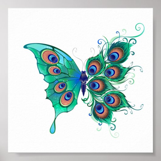 Poster Papillon aux plumes de paon vert (Devant)