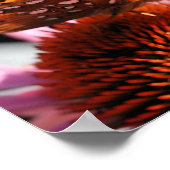 Poster Papillon Avec Dieu Citation De La Bible Inspirante (Coin)